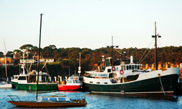 Ulladulla Fishing Wharf, home to numerous deep sea Trawlers.